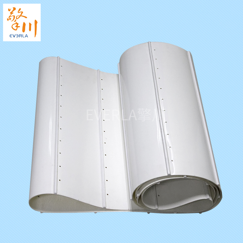 pvc<a href='http://www.sdk35696.cn/shusongdai/' target='_blank'><u>輸送帶</u></a>加導(dǎo)條打孔食品<a href='http://www.sdk35696.cn/shusongdai/' target='_blank'><u>輸送帶</u></a>主圖