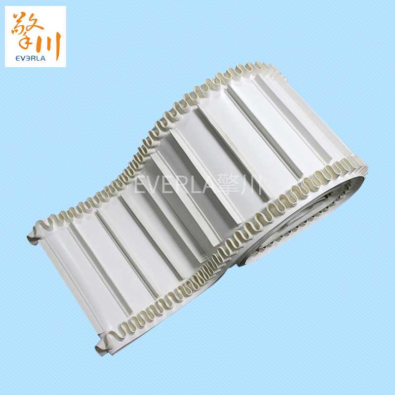 裙邊加擋板PU<a href='http://www.sdk35696.cn/shusongdai/' target='_blank'><u>輸送帶</u></a>主圖