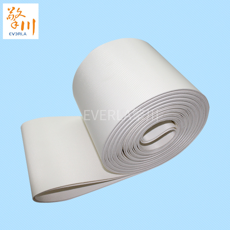 優(yōu)質(zhì)的食品pvc<a href='http://www.sdk35696.cn/shusongdai/' target='_blank'><u>輸送帶</u></a>主圖
