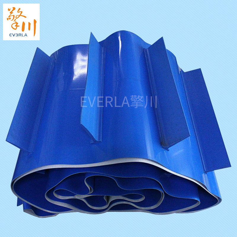 PVC藍(lán)色<a href='http://www.sdk35696.cn/shusongdai/' target='_blank'><u>輸送帶</u></a>加擋板