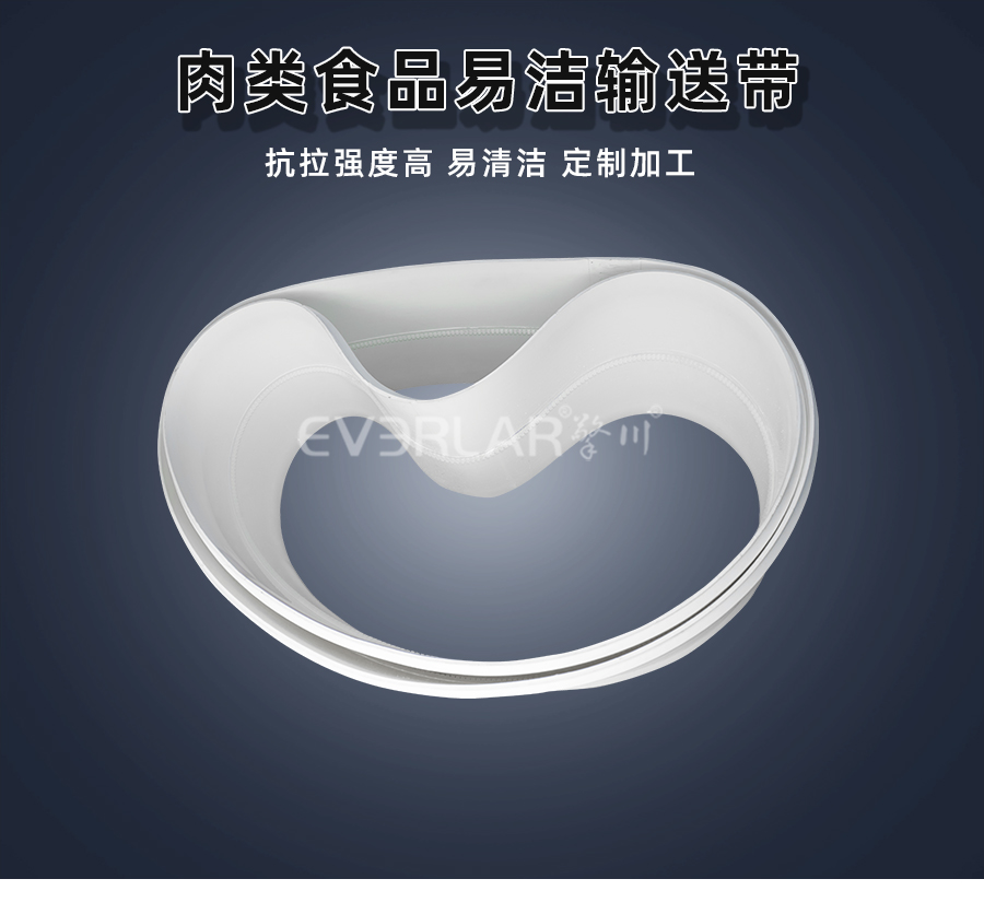 肉類食品易清潔<a href='http://www.sdk35696.cn/shusongdai/' target='_blank'><u>輸送帶</u></a>詳情頁01